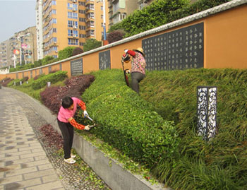綠化養護中(zhong)修剪